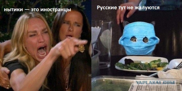"Русские тут не жалуются": Омич с "чумного корабля" стал примером для испугавшихся смертельного вируса