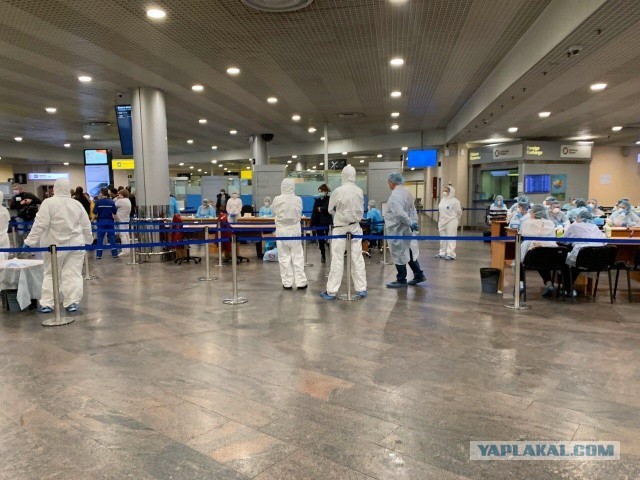 Мир и коронавирус, часть 5. COVID-19 и все все все