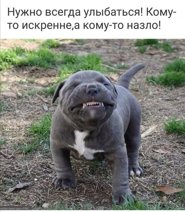 Немного картинок для настроения 13.05.20