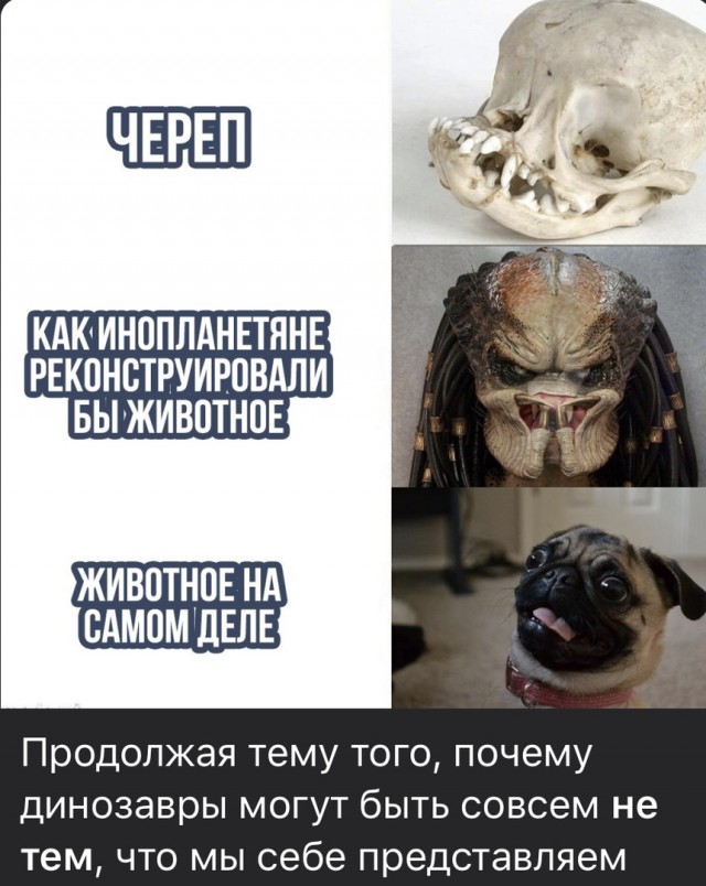 Так себе картинки 13.06.20