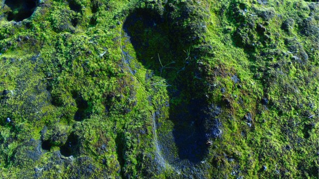 Где-то на Урале лес заменяет людям небо