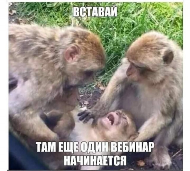 Маленько старых картинок