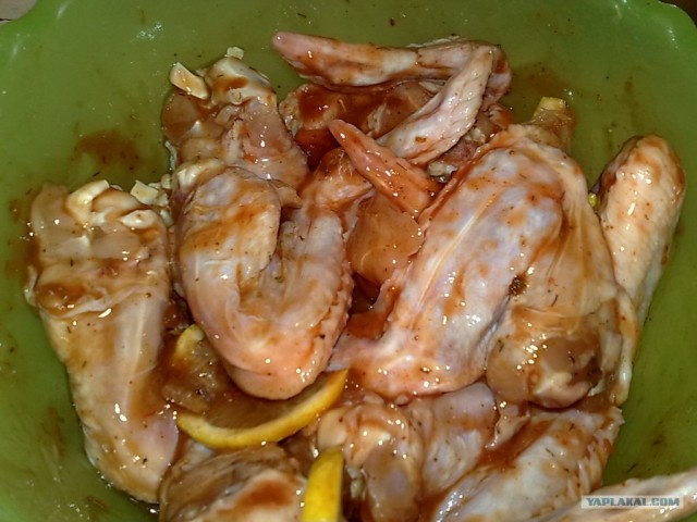 Ноги, хвосты… главное – крылья!, Кура-International–2, куриные крылья