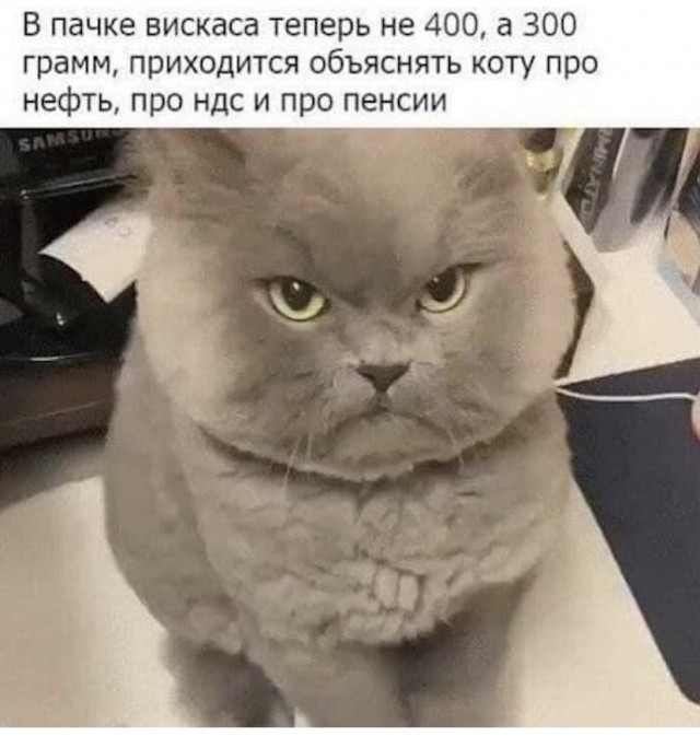 Картинки и мемы для настроения 16.08.2021