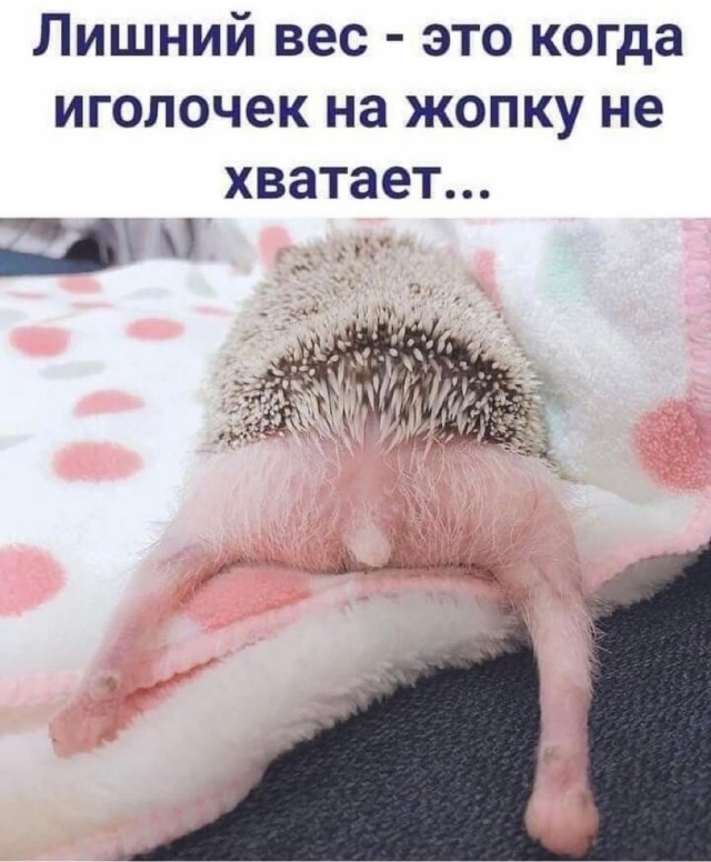 Картинки и мемы для настроения 003