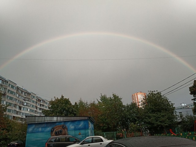 В Москве стену Покраса Лампаса с именами пропавших детей спасли от коммунальщиков