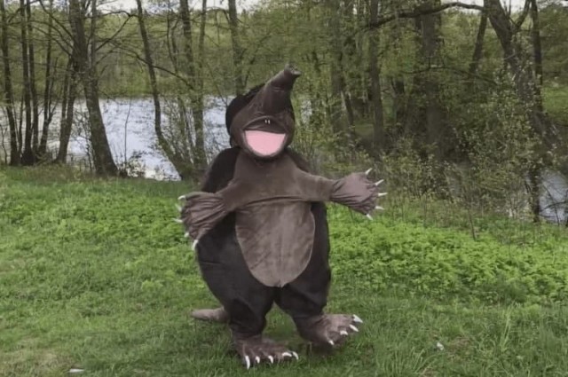 Рунет узнал о существовании выхухоля Хохули — маскота экологии Калужской области. И заодно помог ему сохранить должность