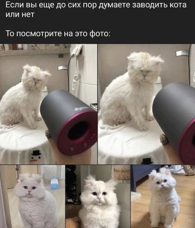 Картинки и мемы для настроения 01.11.2021