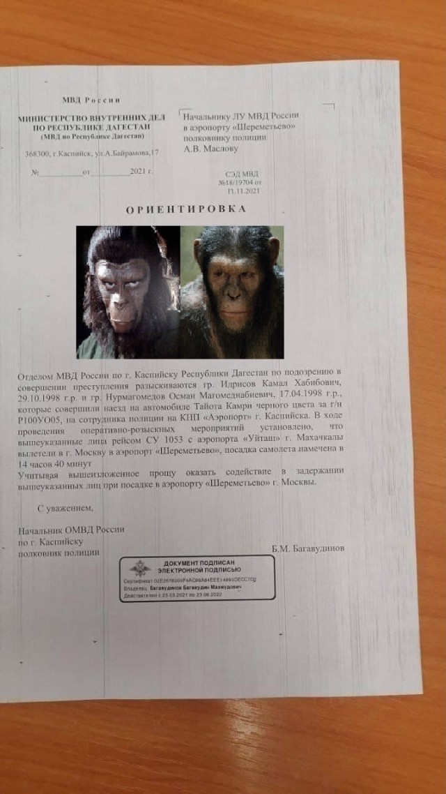 В Москве задержали брата Хабиба Нурмагомедова. Усмана Нурмагомедова подозревают в наезде на сотрудника полиции