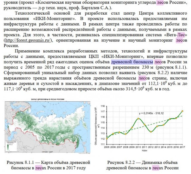 Путин запретил вывозить дерево из России
