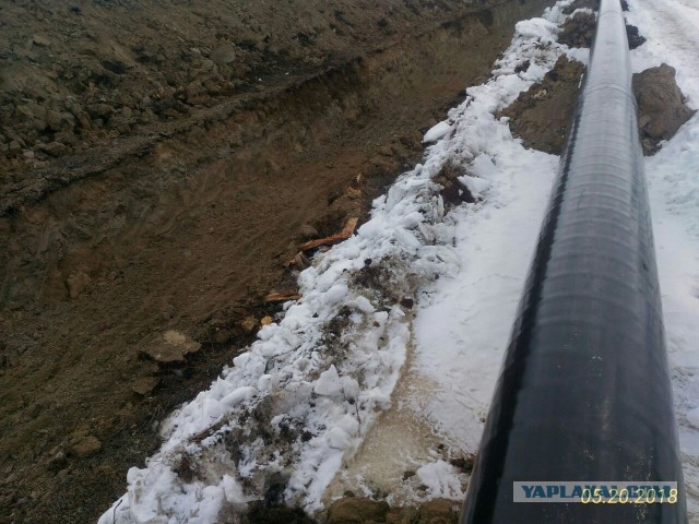 Предлагаю размять мозг. Найди кота на фото.