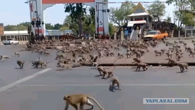 Fight Club в Амурской области на подшипниковом заводе: рабочие второй день дерутся из-за котлет и салфетки
