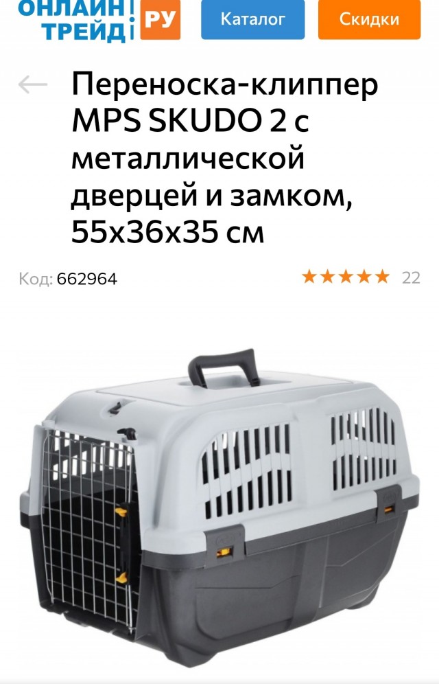 Помогите советом про котика