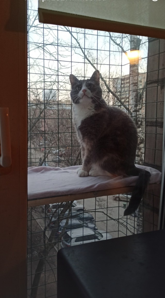 С праздником и котофторником!