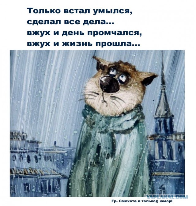 «Устал быть нянькой для здоровой женщины»: откровения нашего читателя, который бросил жену-красавицу и ушел в никуда