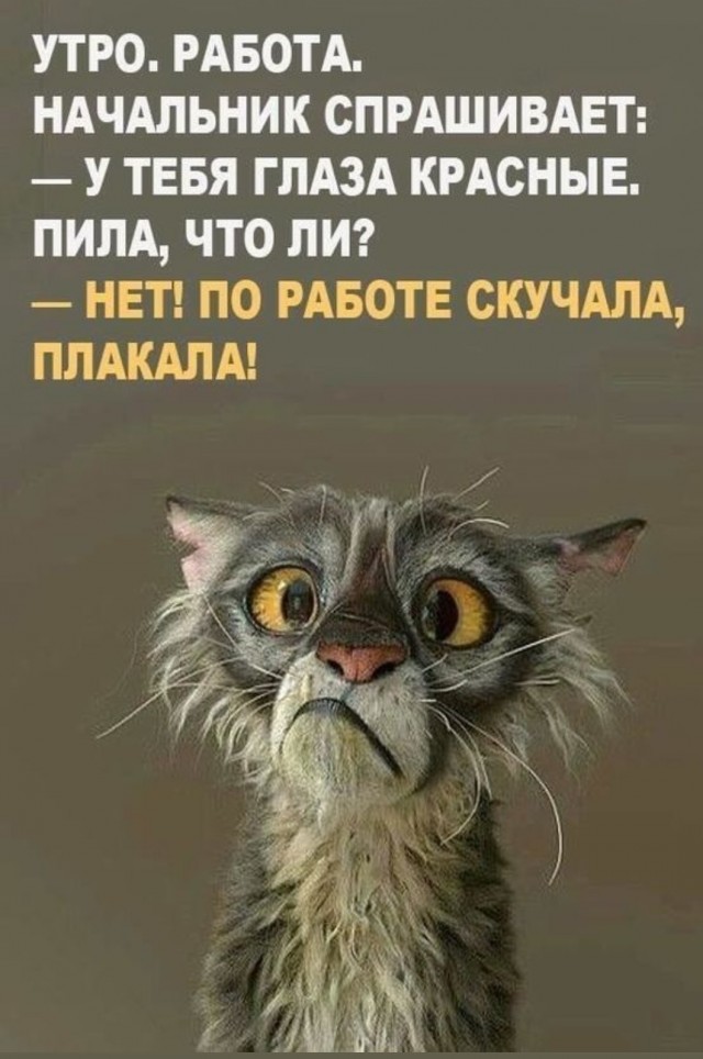 Дочь завидует эскортницам. Что делать?