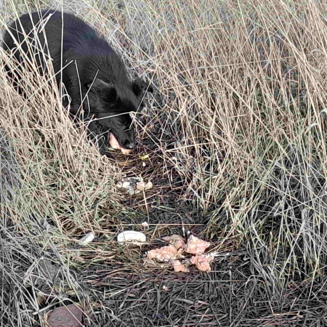 По бахмутке выезжаю из Луганска