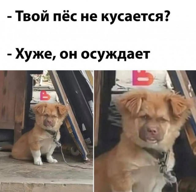 Немного картинок для настроения - 161