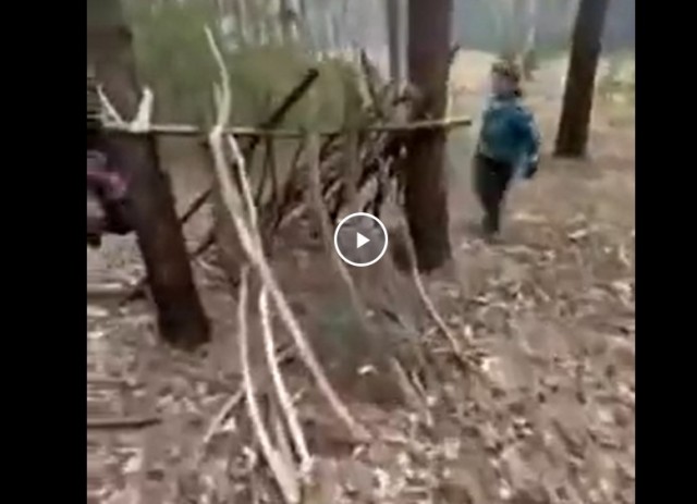 Вот так и поджигают диверсанты леса.