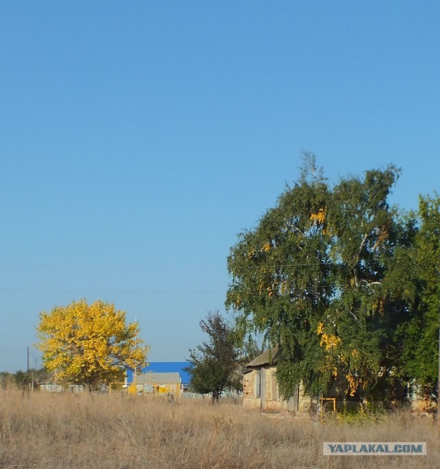 Краски осени