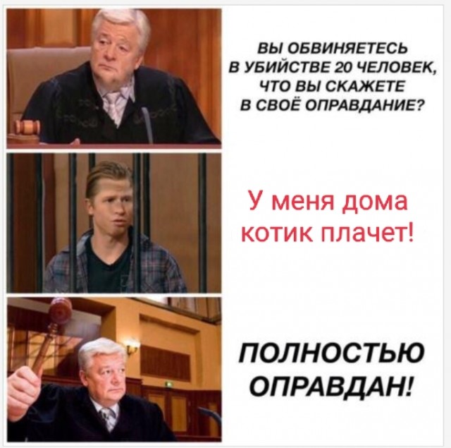 Впервые в истории России котик стал одним из смягчающих обстоятельств для уголовника в суде
