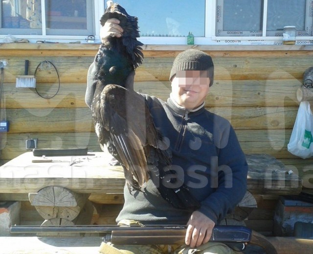 Мужчина открыл огонь по людям и автомобилям на трассе М-5 в Рязанской области