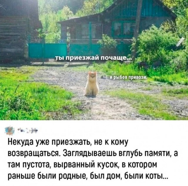 Так себе картинки 01.04.24
