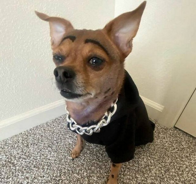 ФотоВинегрет