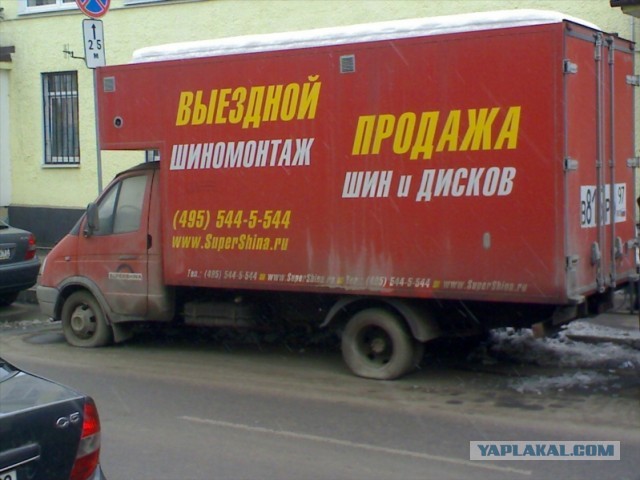 Однажды на лесной поляне...