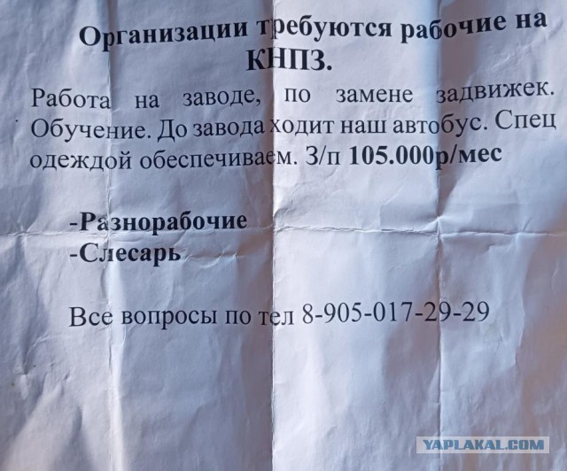 Названы профессии с самыми низкими зарплатами в России
