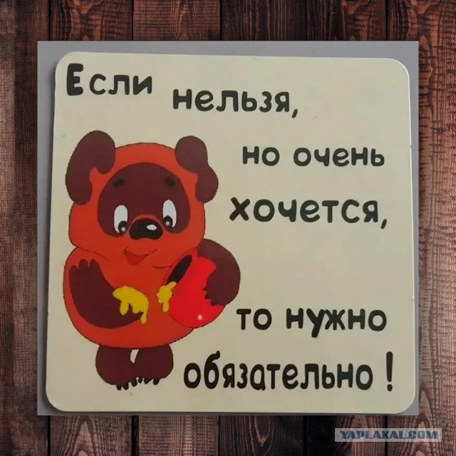 В Питере побили дочь бывшей супруги Андрея Аршавина