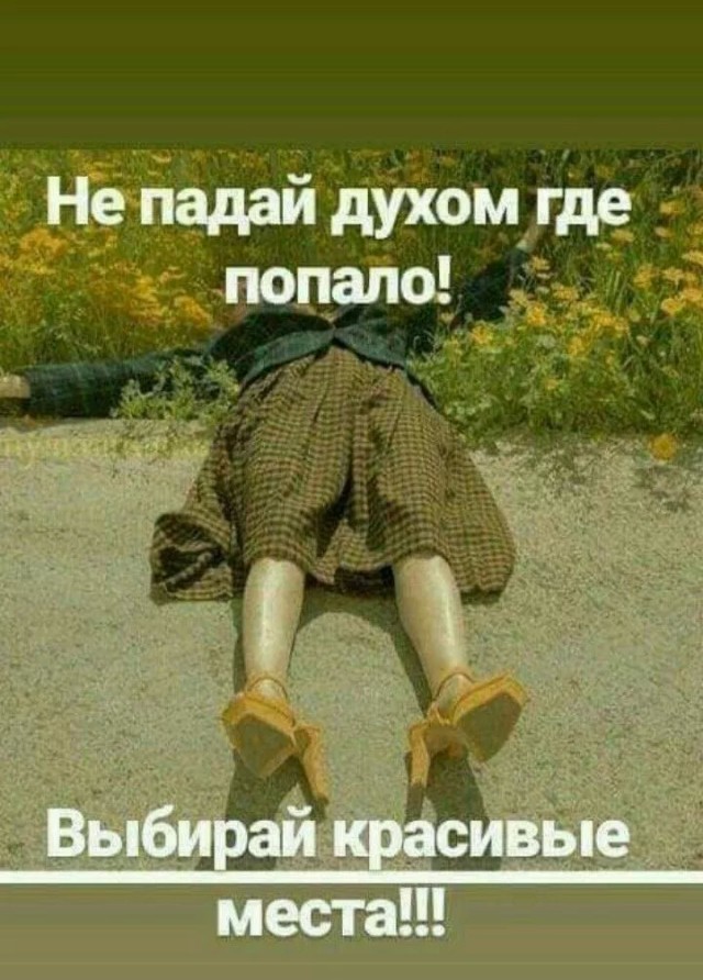 Так себе картинки 24.10.24