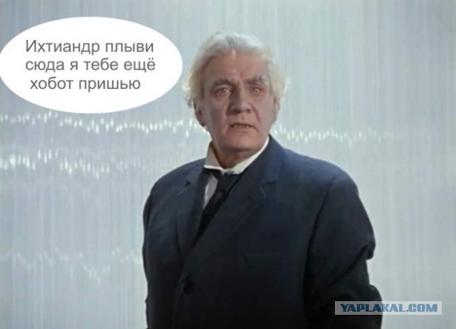 В Гренландском море сняли на видео ихтиандра.