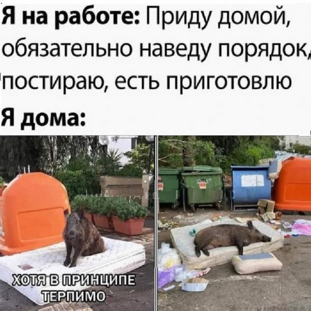 Всего понемногу. От 25.11.2024