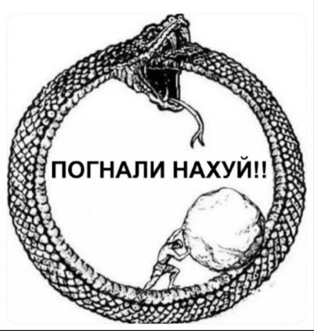 Веселые картинки в последний день января (31.01)