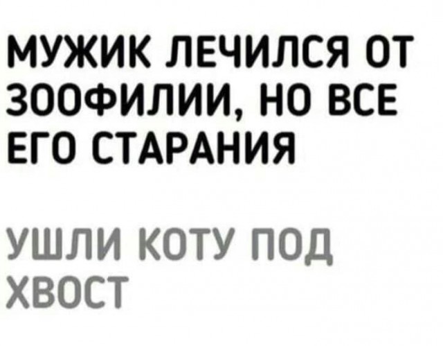 На сон грядущий