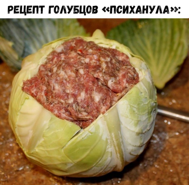 Юмор в буквах за день и шесть ног