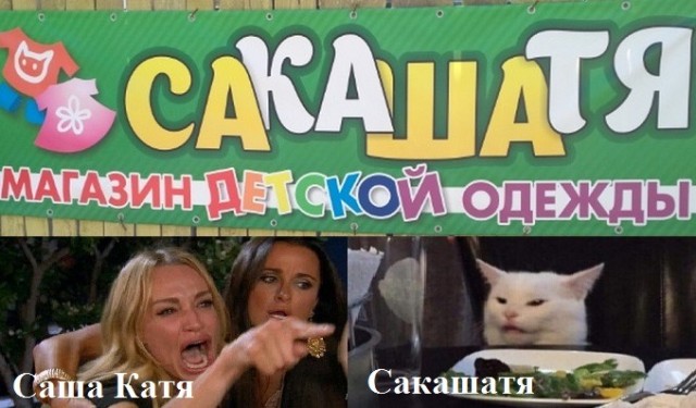 Знаменитый кот 2