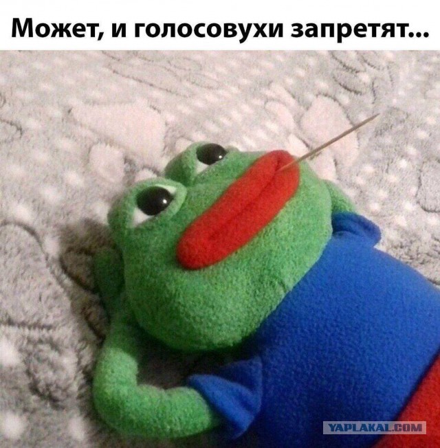 Где звонить теперь в мессенджерах, когда заблокировали в России WhatsApp* и Telegram