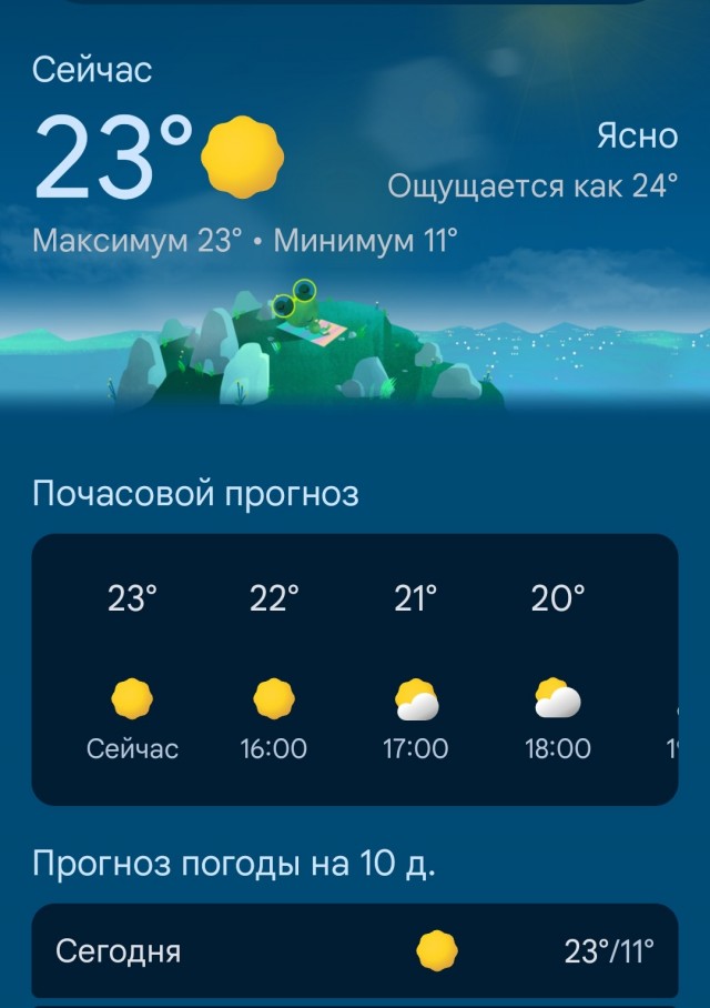 Термоапокалипсис в Подмосковье: Осень решила, что скромность не её стиль