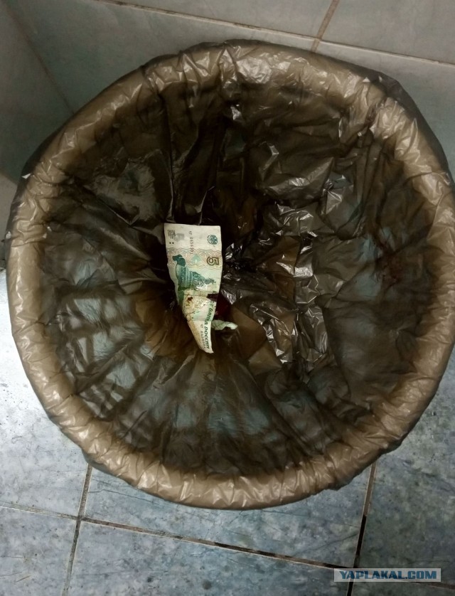 Хорошо живут студенты!