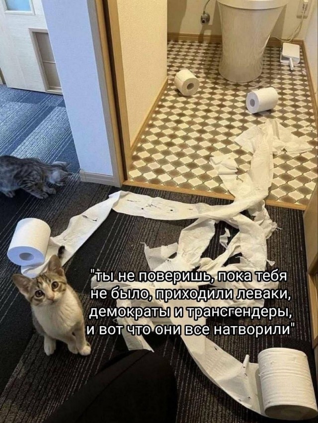 Нуштош. Соотношение четного и бледного (s5e2)