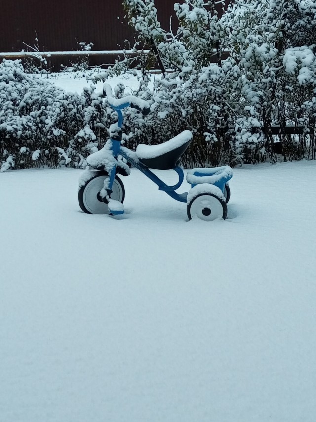 Не каждый год