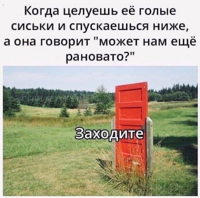 Картиночки, баянчики 29 декабря