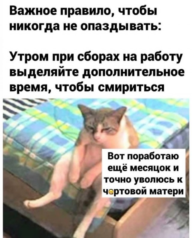 Картиночки, баянчики 30 января
