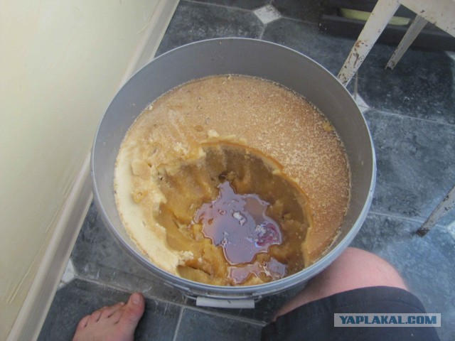 Вкусноты псто. И о дожде маленько