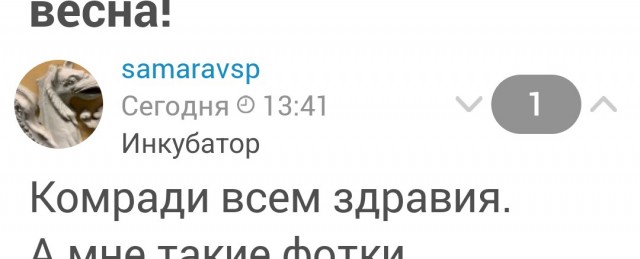 И в наш город пришла весна!