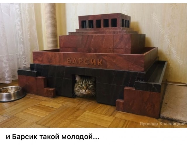 Субботние картинки