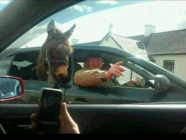 Прикольные и просто красивые картинки 15.05.2026