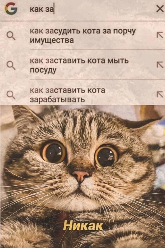 Просто для хорошего вечера